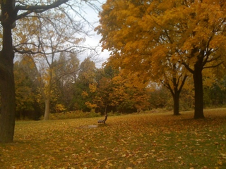 Illustration for article titled Shooting Challenge Fall Leaves Gallery 1